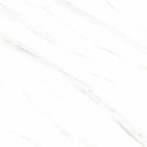 Gạch Trường Thịnh SIMPLICITY